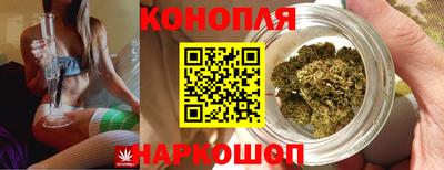 МДПВ Ярославль