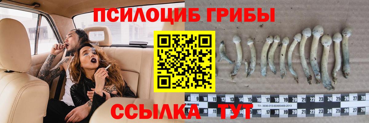 Псилоцибиновые грибы мицелий  Вход с VPN  Солнечногорск  Псилоцибиновые грибы мицелий 